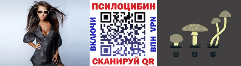 Псилоцибиновые грибы Cubensis Тюмень
